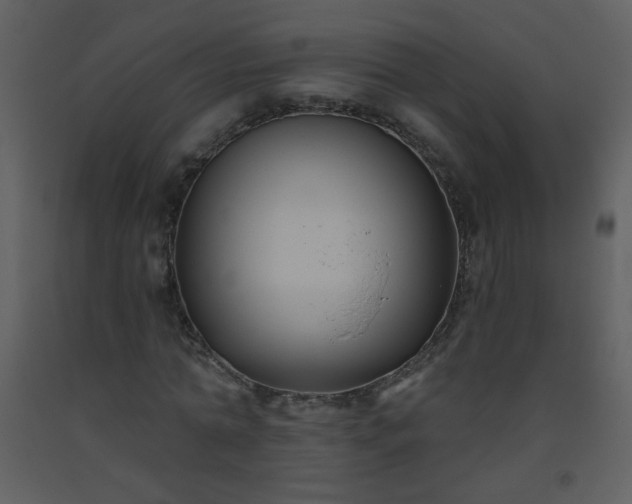 X0000093560774200710221422