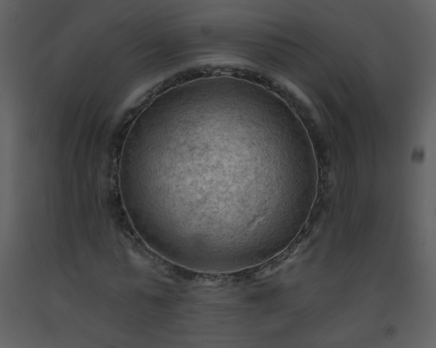 X0000093560775200710221422