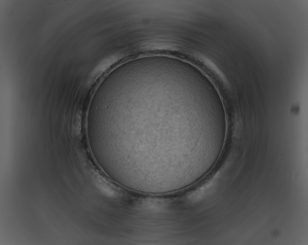 X0000093560777200710221422