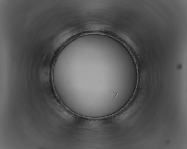 X0000093560778200710221422