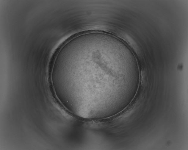 X0000093560780200710221422