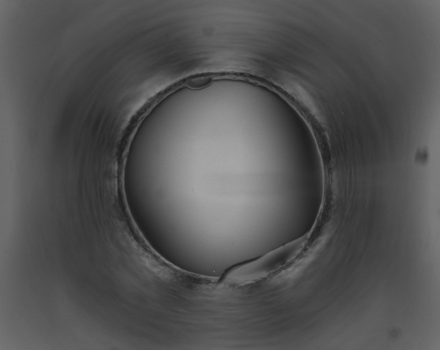 X0000093560781200710221422