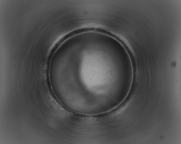 X0000093560783200710221422