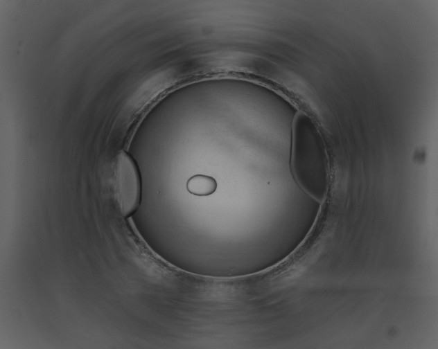 X0000093560785200710221422