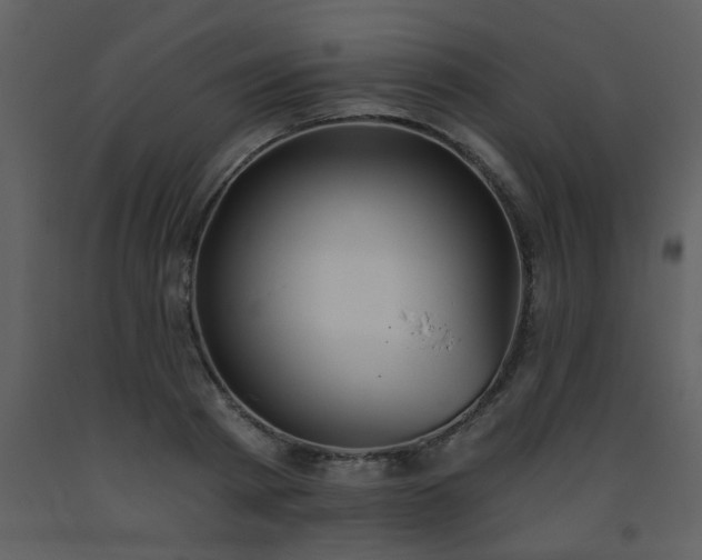 X0000093560793200710221421