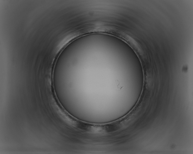 X0000093560794200710221421