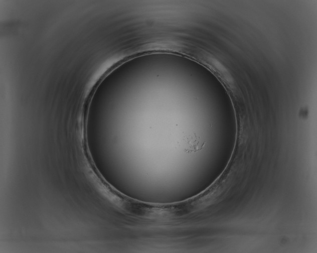 X0000093560796200710221421