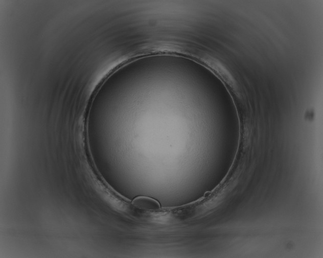 X0000093560798200710221421