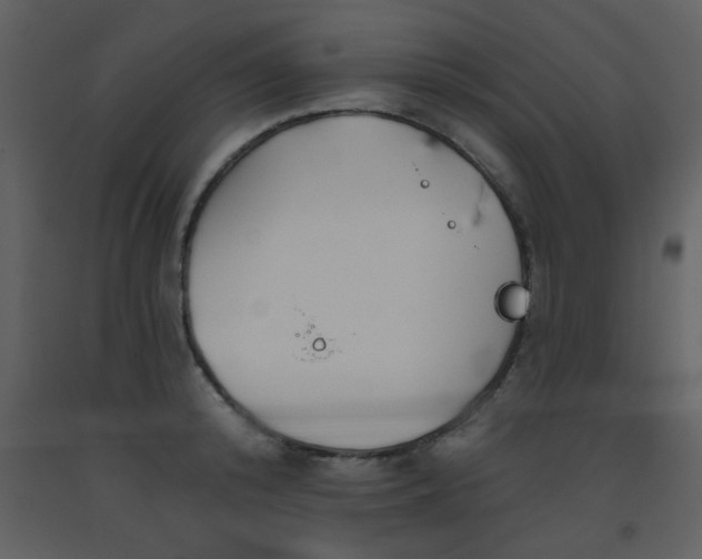 X0000093560800200710221421