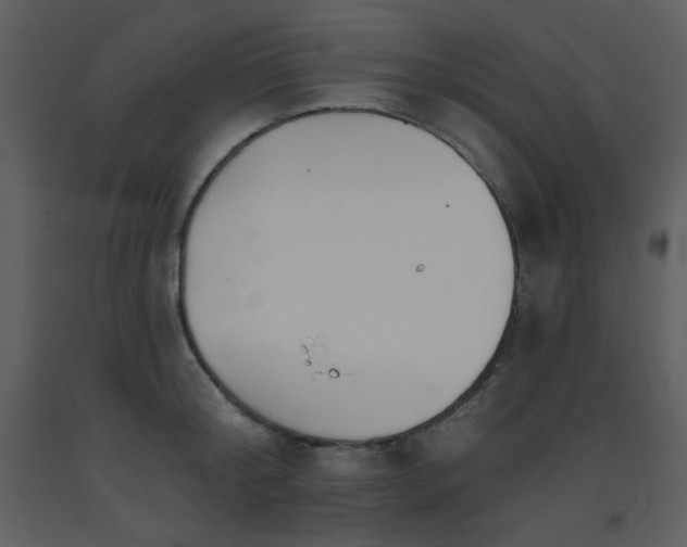 X0000093560804200710221421