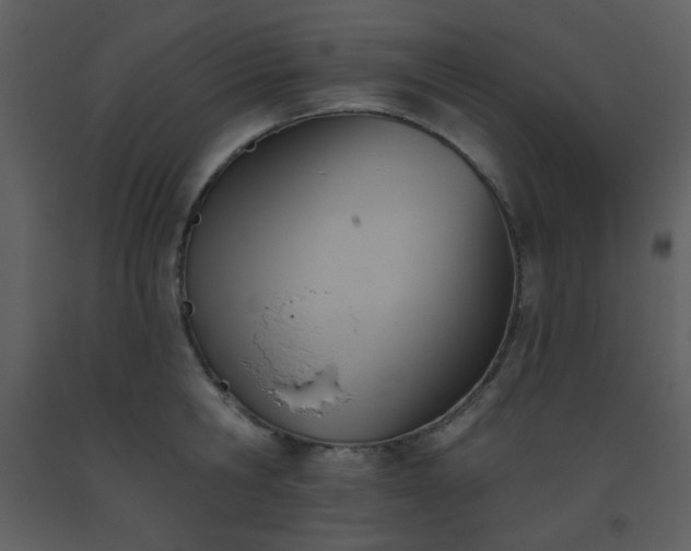 X0000093560806200710221421