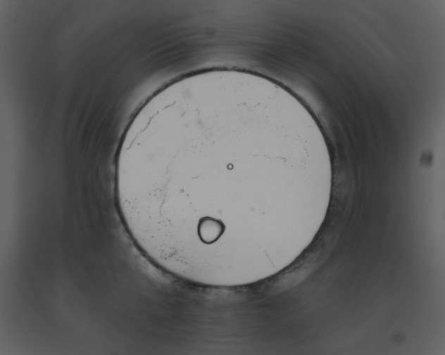 X0000093560807200710221421