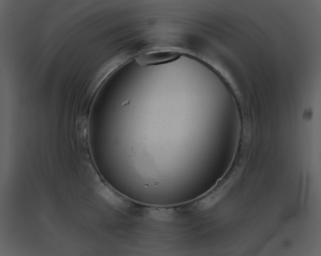 X0000093560809200710221421