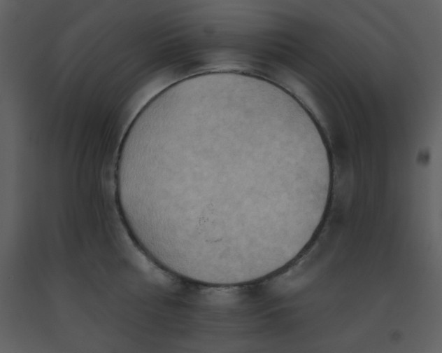 X0000093560810200710221421