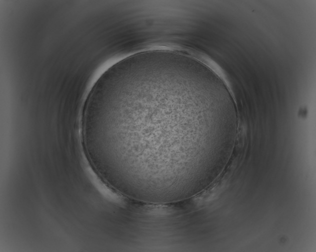 X0000093560811200710221421
