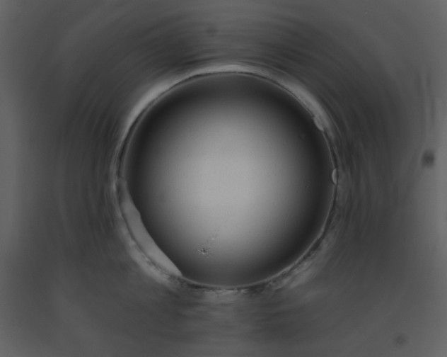 X0000093560813200710221421