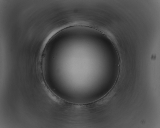 X0000093560816200710221421