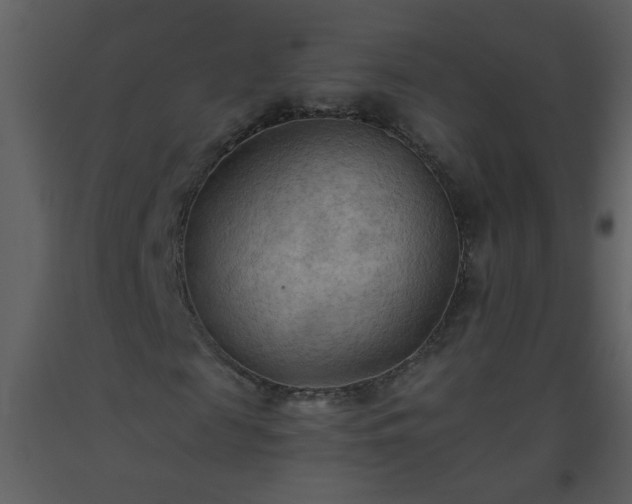 X0000093560817200710221421