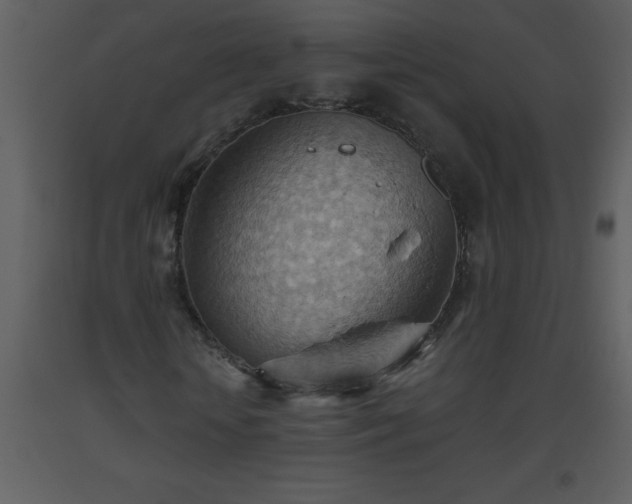 X0000093560818200710221421