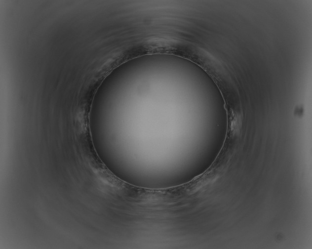 X0000093560819200710221421