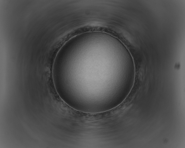 X0000093560821200710221421