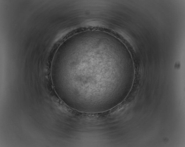 X0000093560823200710221421