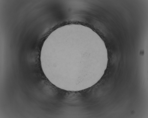 X0000093560824200710221421