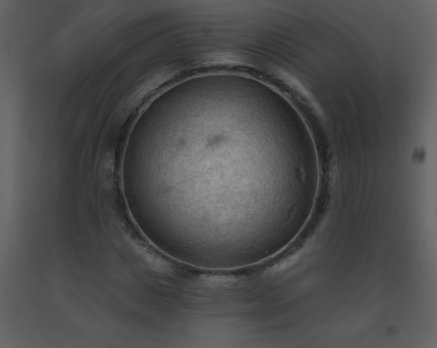 X0000093560825200710221421