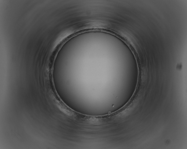 X0000093560827200710221421