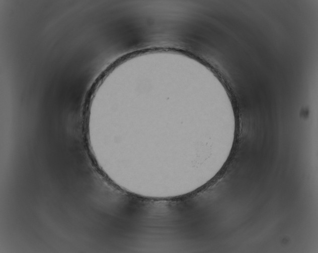 X0000093560828200710221421