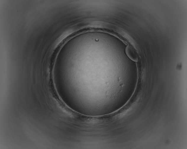 X0000093560829200710221421
