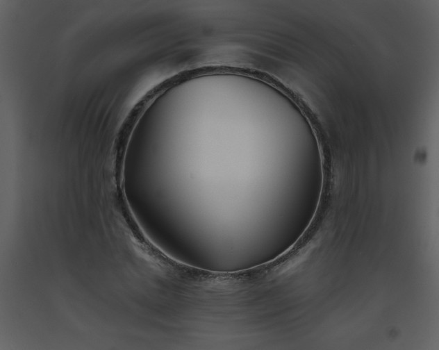 X0000093560830200710221421