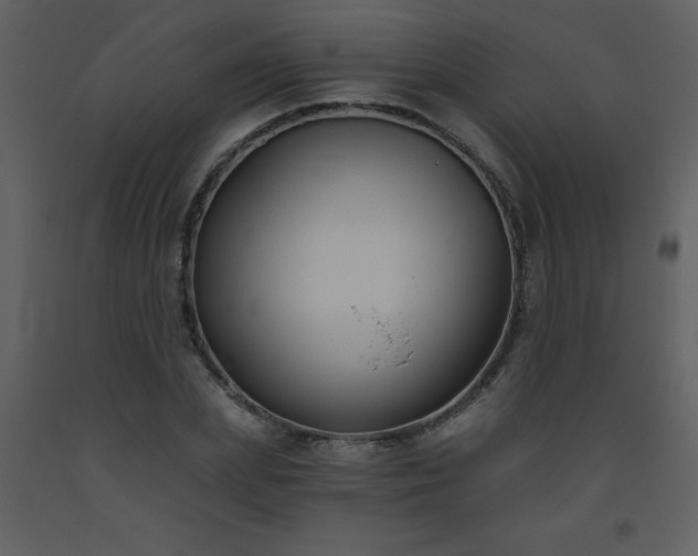 X0000093560831200710221421