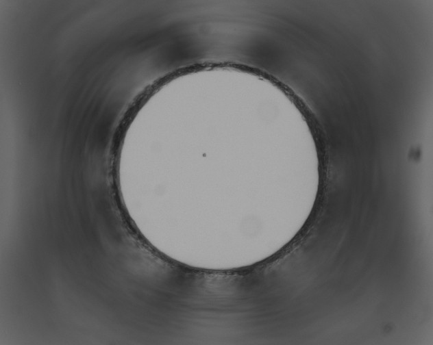X0000093560832200710221421