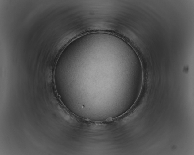 X0000093560833200710221421