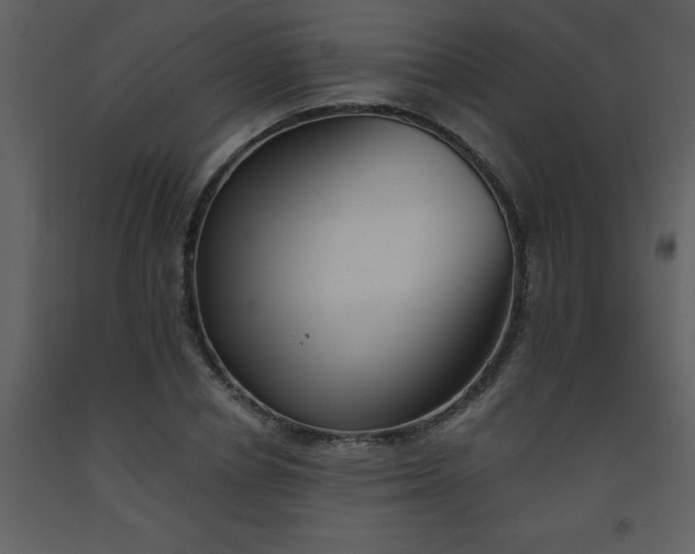 X0000093560834200710221421