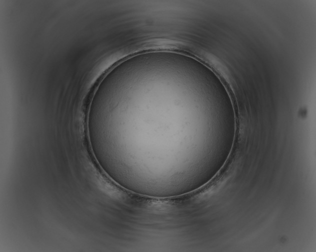 X0000093560835200710221421