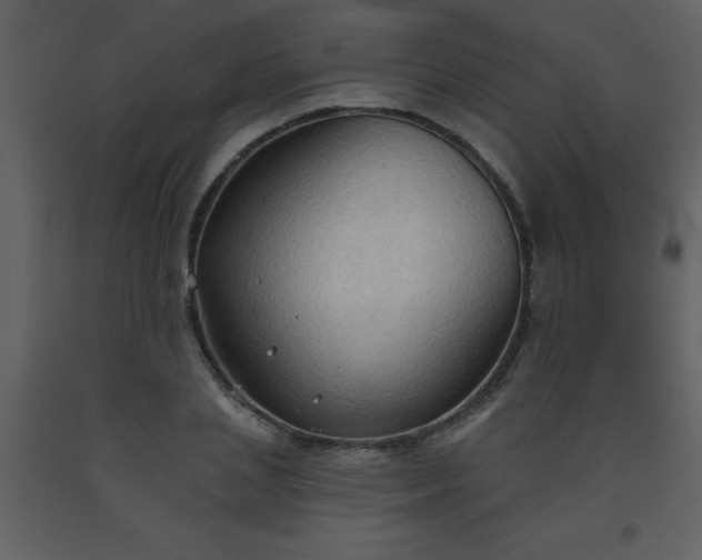 X0000093560837200710221421