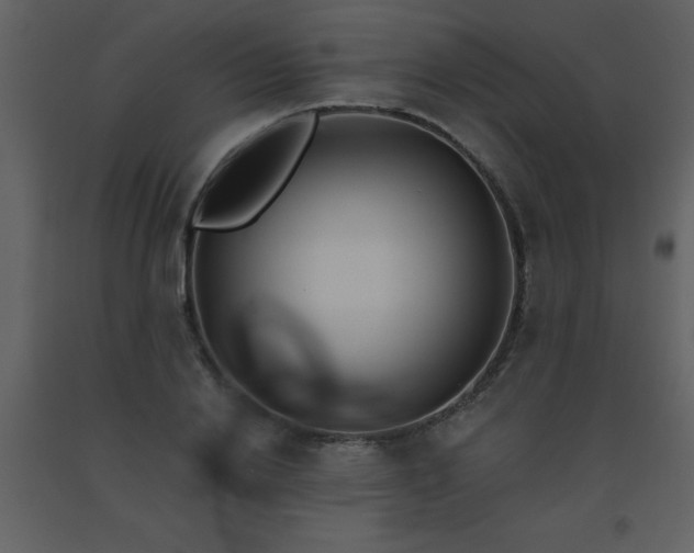 X0000093560838200710221421