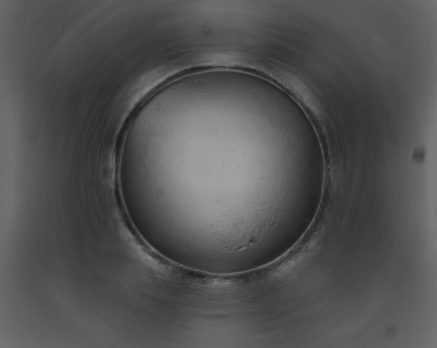 X0000093560839200710221421