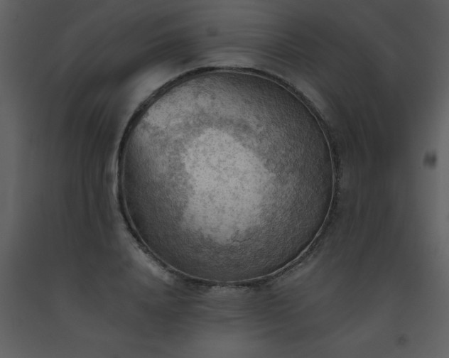 X0000093560840200710221421