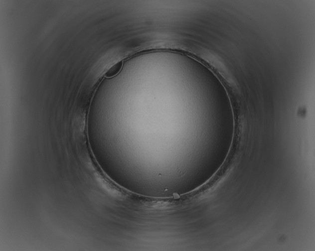 X0000093560841200710221421