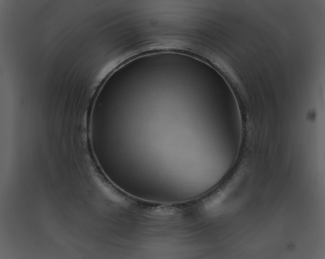 X0000093560842200710221421