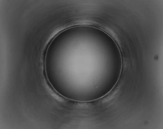 X0000093560843200710221421