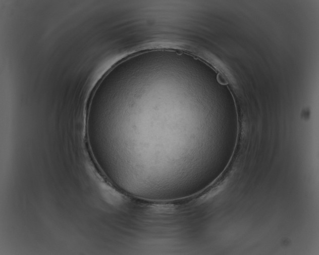 X0000093560844200710221421