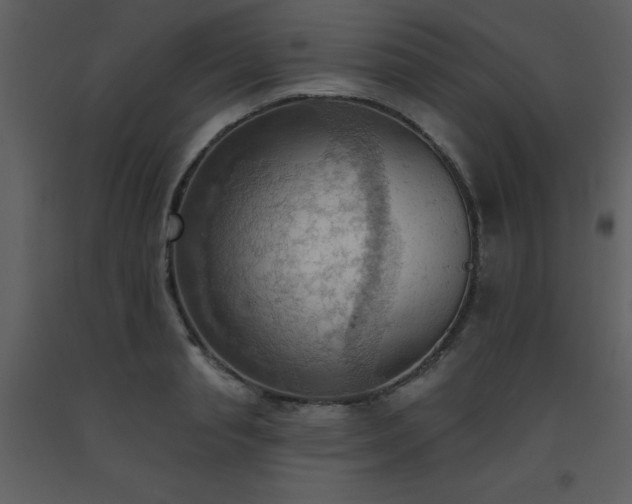 X0000093560845200710221421