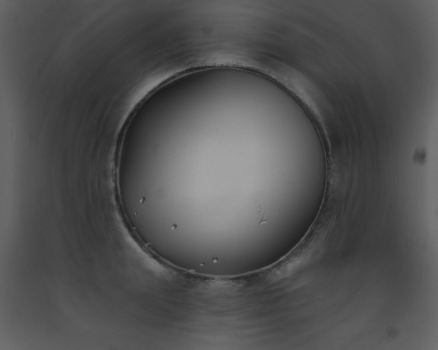 X0000093560847200710221421