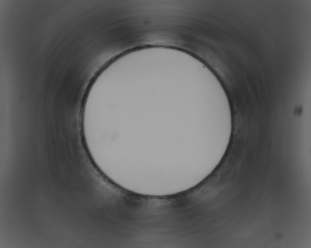 X0000093560848200710221421