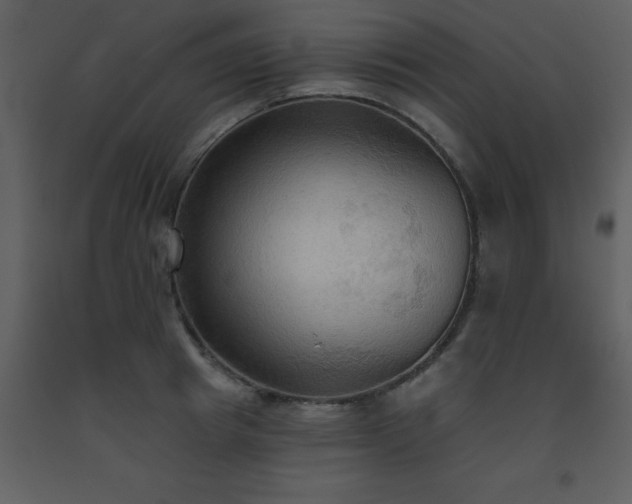 X0000093560849200710221421