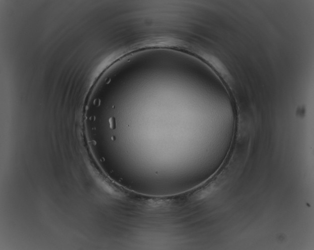 X0000093560850200710221421